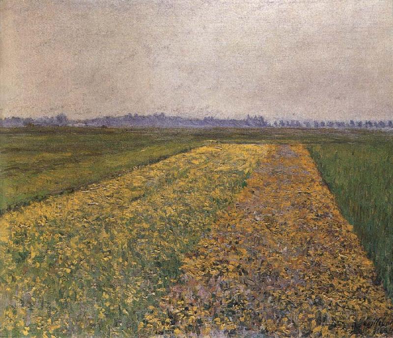 Gustave Caillebotte Yellow field Sweden oil painting art